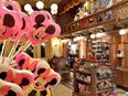Mitbringservice Disneyland Paris in 41352