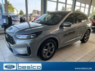 Ford Kuga, ST-Line FHEV KeyFr, Jahr 2024 - Glauchau