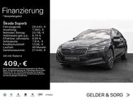 Skoda Superb, 2.0 TDI Combi Style, Jahr 2023 - Haßfurt