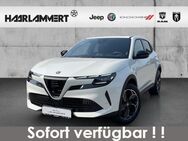 Alfa Romeo Junior, SPECIALE, Jahr 2022 - Hasbergen