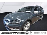 VW Golf Variant, 2.0 TDI Golf VII Alltrack, Jahr 2019 - Pirna