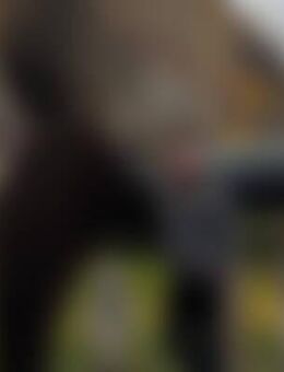 Jos*** - Schalkenmehren