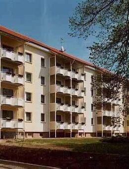 Mein Zuhause ist Neuwoba - Penzlin