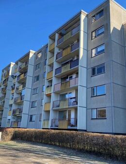 Wohnungspaket mit 6 Wohnungen und 6 TG-Stellplätzen - Bad Oldesloe