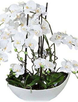 Kunstorchidee Phalaenopsisarrangement, 68cm weiss, Creativ green, Höhe 68 cm, in Keramikschale