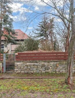 Großes Grundstück in Biederitz - Biederitz
