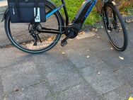 E Bike Haibike Sduro Trekking 3.0 - Brühl (Nordrhein-Westfalen)