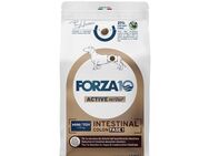 Forza 10 Active Line - Mini/Toy Intestinal Colon Phase 1 - Sparpaket: 3 x 1,5 kg