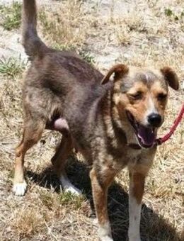 Nayeli ist so ein lieber Sonnenschein! - Karben