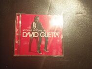 Nothing But The Beat (Ultimate) von David Guetta (CD, 2012) - Essen