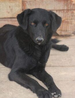 Yanika mit ihren Schokobraunen Augen🤩 - Sindelfingen