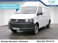 VW T6, 2.0 TDI Kasten, Jahr 2019 - Mannheim