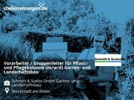 Vorarbeiter / Gruppenleiter für Pflanz- und Pflegekolonne (m/w/d) Garten- und Landschaftsbau - Stockstadt (Rhein)