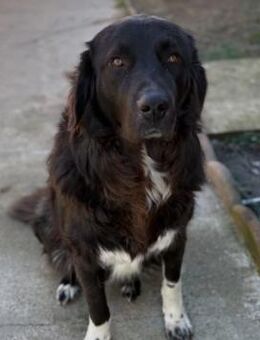 Ausgeglichener, lieber Juhani - Kallmünz