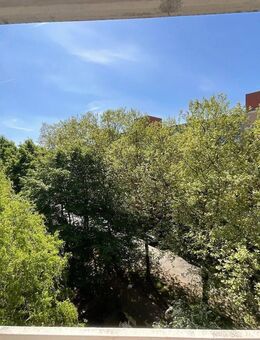 Renovierte 3 Zimmerwohnung mit Balkon - Münster