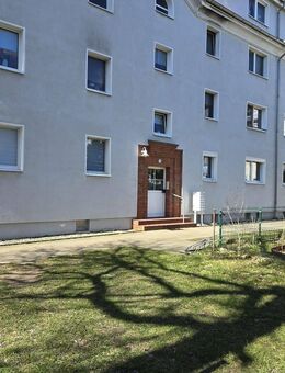 renovierte 3 Zimmerwohnung am Elbufer 12 - Wittenberg (Lutherstadt)