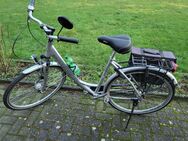 Damen fahrrad - Haren (Ems)