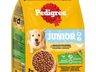 Pedigree Junior Geflügel & Gemüse - Sparpaket: 3 x 3 kg
