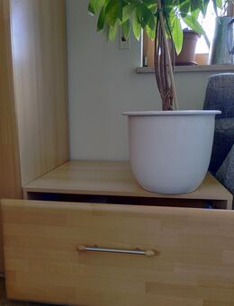 Jugendzimmer / Schlafzimmer - Ingolstadt