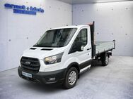 Ford Transit 350 L2 VA Heavy Trend - Freiburg (Breisgau)