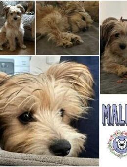 MALINA * zauberhaftes MiniMädchen - Duisburg