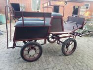 Kutsche für Reitpony, Welch, Haflinger Tinker, Fjord etc. - Rahden