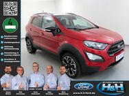 Ford EcoSport, 1.0 EcoB ACTIVE, Jahr 2022 - Premnitz