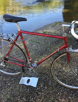 Rennrad Koga Miyata - Hirschhorn (Neckar)