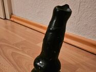 Hunde Dildo - Regensburg