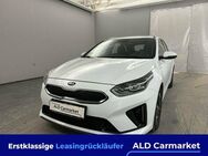 Kia Ceed SW 1.6 GDI DCT OPF Plug-in-Hybrid Vision Kombi, 5-türig, Automatik, 6-Gang - Bad Fallingbostel