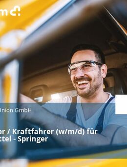 LKW Fahrer / Kraftfahrer (w/m/d) für Lebensmittel - Springer - Stadtallendorf