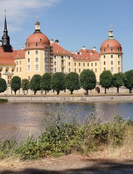 Er sucht Sie - Dresden