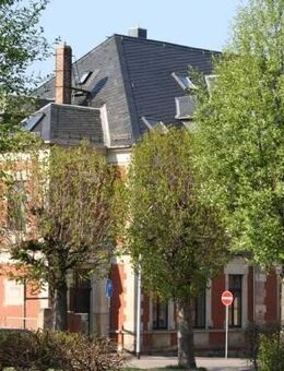 Loft 4 Raum WE über den Dächern der Stadt - Limbach-Oberfrohna