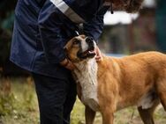 KIMBO - wo werden Träume für mich wahr - Overath