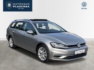 VW Golf, 1.5 TSI Var Highline, Jahr 2020 - Amelinghausen