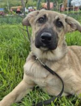 Hope blickt hoffnungsvoll in die Zukunft - München