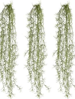 Kunstzweig Hängezweig Tillandsie, Creativ green, Höhe 80 cm, in schöner Größe