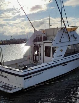 Motorschiff Phoenix SF Fly 10.50m x 3.20m 2c Cummings Diesel - München