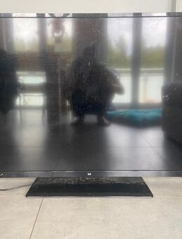 DUAL smart Tv 48“ - Erdweg