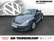 VW Beetle, 1.4 TSI Cabriolet, Jahr 2014 - Varel