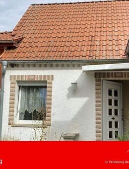 Rohdiamant sucht Feinschliff - Möckern (Sachsen-Anhalt)