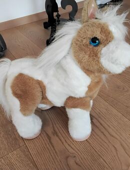Süßes kleines Kuschel Pony zum Spielen - Braunschweig