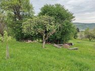 Landwirtschaftsfläche, Obstbaumwiese, Wiesengrundstück in Aussichtslage - Winterbach (Baden-Württemberg)