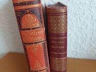 Antiquarische Bücher: Schiller's Gedichte, Goethe's Gedichte 1888 - Spaichingen Zentrum