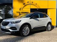 Opel Grandland X, Plug-in-Hybrid4 Ultimate, Jahr 2020 - Cloppenburg