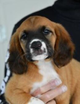 Darf Clotilde Ihre Familie bereichern? - Neuss