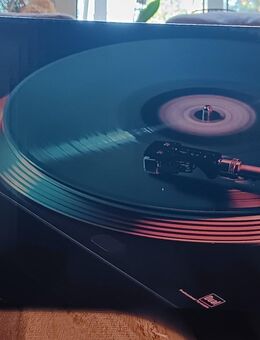 Dual DT 250 USB Plattenspieler - Rastdorf