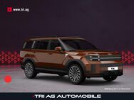 Hyundai Santa Fe, 1.6 T-GDI Blackline Plug-In-Hy Black Auto Terracotta Orange, Jahr 2022 - Kippenheim