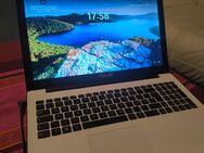 Asus Notebook ,15 Zoll , HDMI ,Windows 11 Home - Kiel