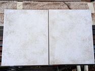 ABK Wandfliesen, neu, 1. Wahl, 20 x 25 cm, 17qm - Waldbreitbach
